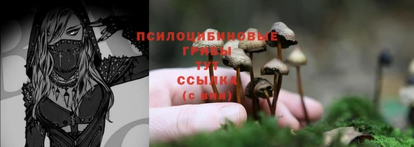 синтетический гашиш Саяногорск