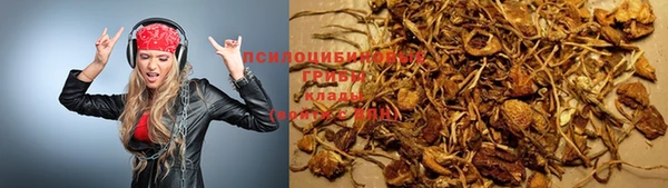 скорость Алзамай