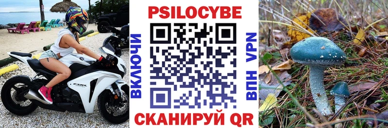Галлюциногенные грибы Magic Shrooms  Ивдель 